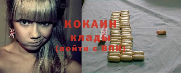 хмурый Алексин