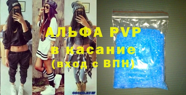 хмурый Алексин