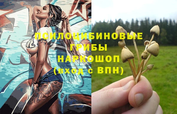 спиды Алзамай
