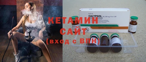 хмурый Алексин