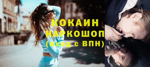 хмурый Алексин