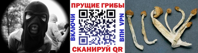 где найти наркотики  Фурманов  Галлюциногенные грибы мицелий 